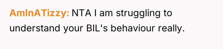 AmInATizzy NTA I am struggling to understand your BIL's behaviour...