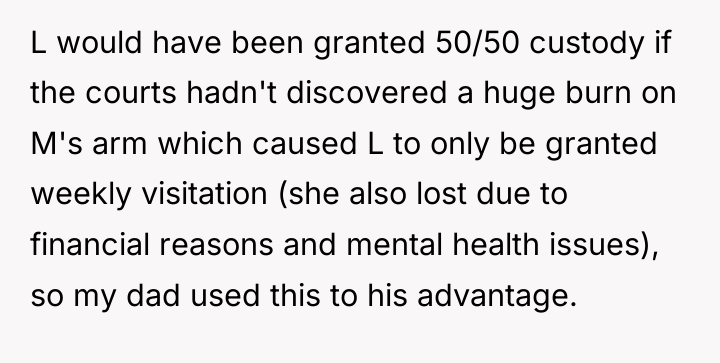 L would have been granted 50/50 custody if the courts...