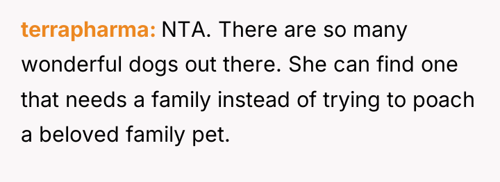 terrapharma NTA. There are so many wonderful dogs out there....
