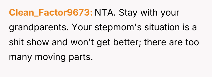 Clean_Factor9673 NTA. Stay with your grandparents. Your stepmom's situation is...