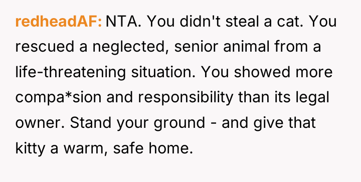 redheadAF NTA. You didn't steal a cat. You rescued a...