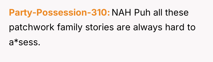 Party-Possession-310 NAH Puh all these patchwork family stories are always...