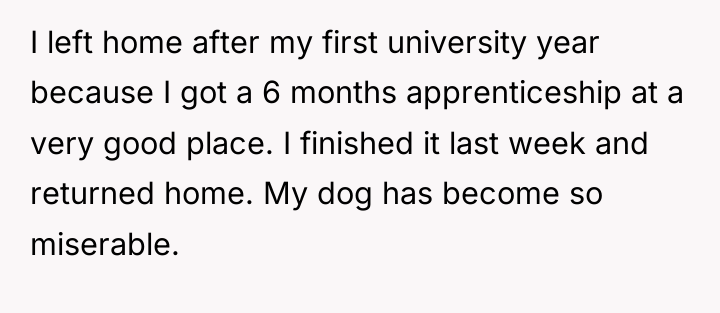 I left home after my first university year because I...
