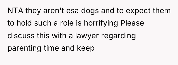 NTA they aren't esa dogs and to expect them to...