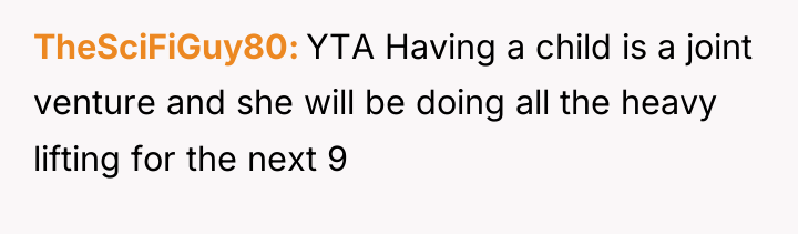 TheSciFiGuy80 YTA Having a child is a joint venture and...