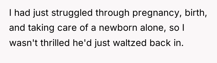 I had just struggled through pregnancy, birth, and taking care...