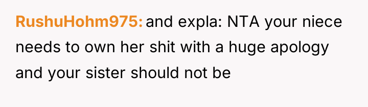 RushuHohm975 and expla: NTA your niece needs to own her...