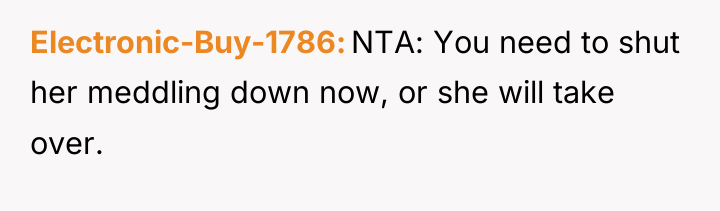Electronic-Buy-1786 NTA: You need to shut her meddling down now,...