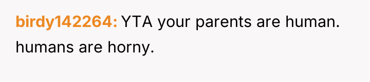 birdy142264 YTA your parents are human. humans are horny.