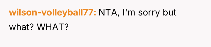 wilson-volleyball77 NTA, I'm sorry but what? WHAT?