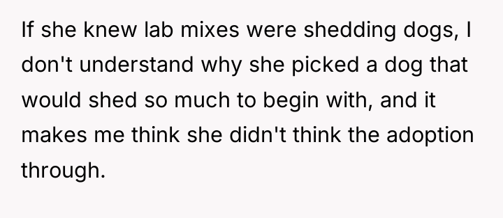 If she knew lab mixes were shedding dogs, I don't...