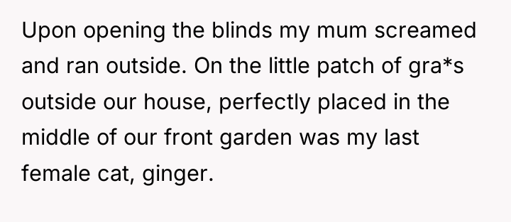 Upon opening the blinds my mum screamed and ran outside....