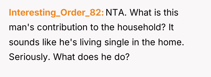 Interesting_Order_82 NTA. What is this man's contribution to the household?...