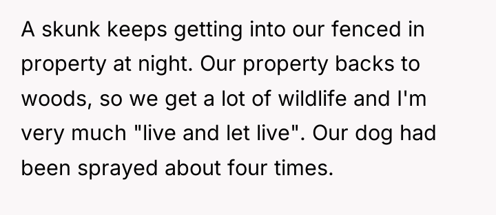 A skunk keeps getting into our fenced in property at...