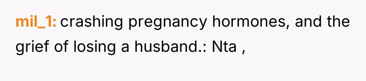 mil_1 crashing pregnancy hormones, and the grief of losing a...