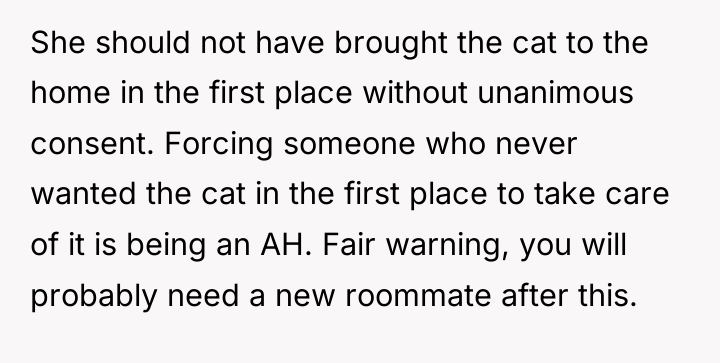 She should not have brought the cat to the home...