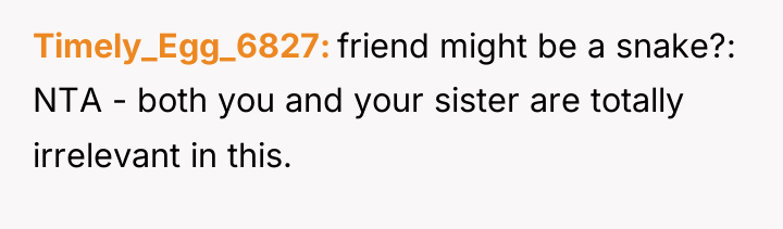 Timely_Egg_6827 friend might be a snake?: NTA - both you...