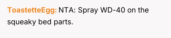 ToastetteEgg NTA: Spray WD-40 on the squeaky bed parts.