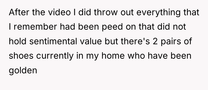 After the video I did throw out everything that I...