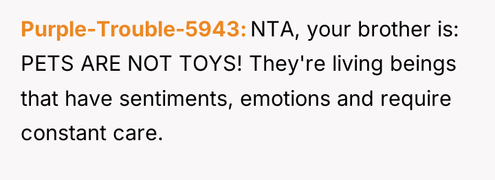 Purple-Trouble-5943 NTA, your brother is: PETS ARE NOT TOYS! They're...