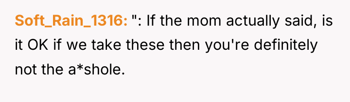 Soft_Rain_1316 ": If the mom actually said, is it OK...