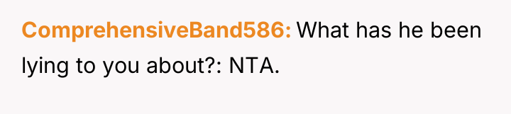 ComprehensiveBand586 What has he been lying to you about?: NTA.
