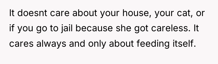 It doesnt care about your house, your cat, or if...