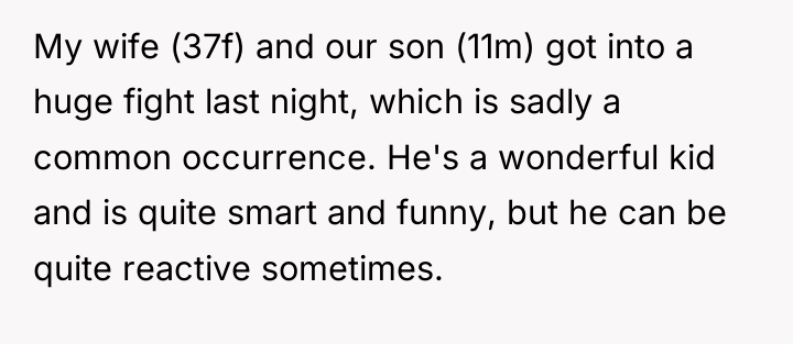 My wife (37f) and our son (11m) got into a...