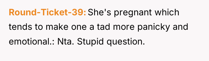 Round-Ticket-39 She's pregnant which tends to make one a tad...
