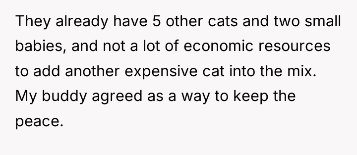 They already have 5 other cats and two small babies,...