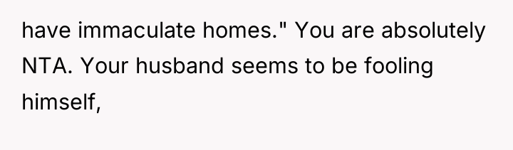 have immaculate homes." You are absolutely NTA. Your husband seems...