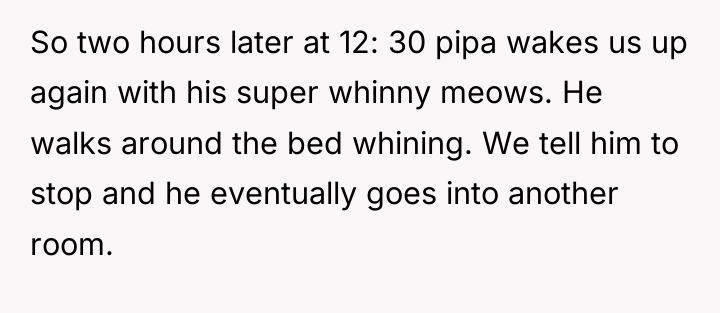 So two hours later at 12: 30 pipa wakes us...