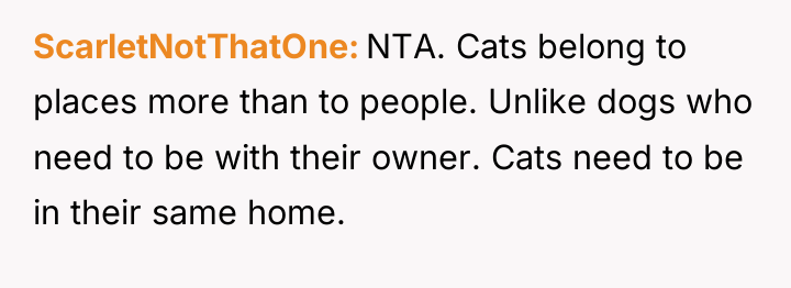 ScarletNotThatOne NTA. Cats belong to places more than to people....