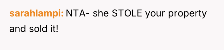 sarahlampi NTA- she STOLE your property and sold it!