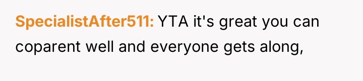 SpecialistAfter511 YTA it's great you can coparent well and everyone...