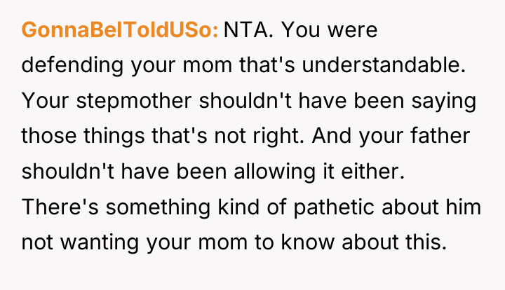 GonnaBeIToldUSo NTA. You were defending your mom that's understandable. Your...