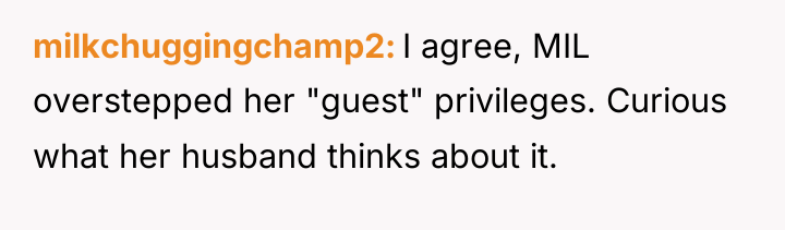 milkchuggingchamp2 I agree, MIL overstepped her "guest" privileges. Curious what...