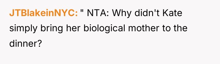 JTBlakeinNYC " NTA: Why didn't Kate simply bring her biological...