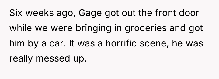 Six weeks ago, Gage got out the front door while...