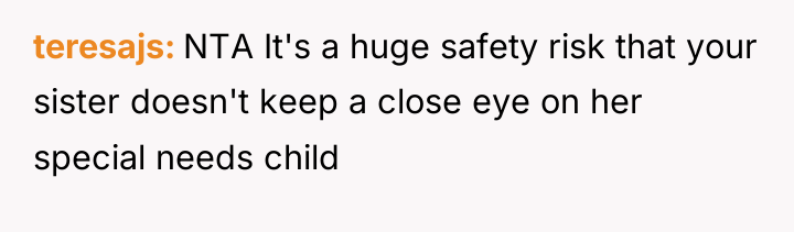 teresajs NTA It's a huge safety risk that your sister...