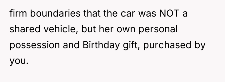 firm boundaries that the car was NOT a shared vehicle,...