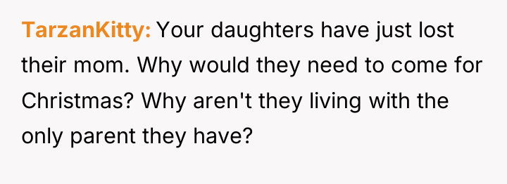 TarzanKitty Your daughters have just lost their mom. Why would...