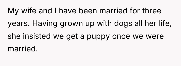 My wife and I have been married for three years....
