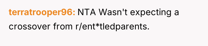 terratrooper96 NTA Wasn't expecting a crossover from r/ent*tledparents.
