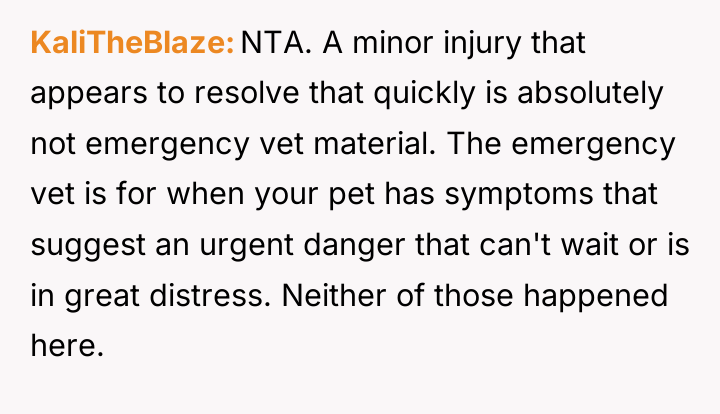 KaliTheBlaze NTA. A minor injury that appears to resolve that...