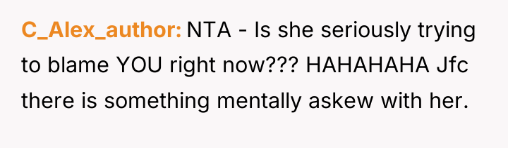 C_Alex_author NTA - Is she seriously trying to blame YOU...
