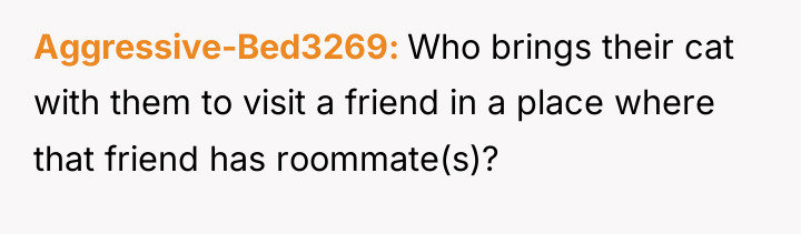 Aggressive-Bed3269 Who brings their cat with them to visit a...