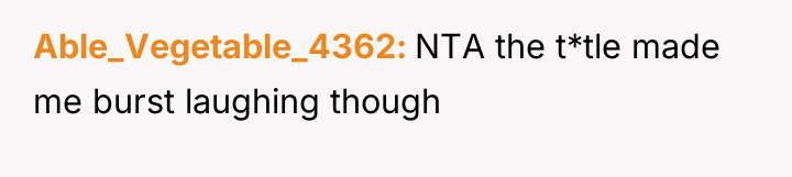 Able_Vegetable_4362 NTA the t*tle made me burst laughing though