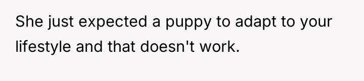 She just expected a puppy to adapt to your lifestyle...