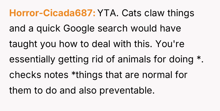 Horror-Cicada687 YTA. Cats claw things and a quick Google search...